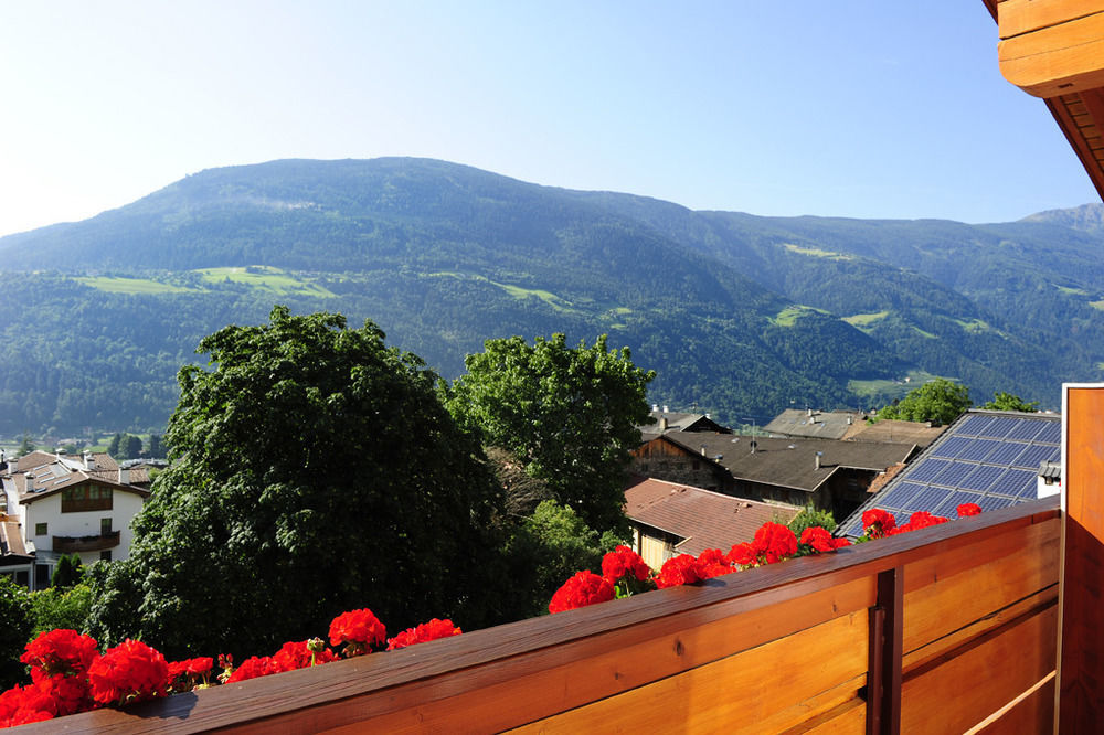 Hotel Das Stachelburg Парчинес Екстер'єр фото